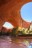 Coyote Gulch